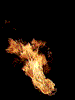 Fire Right.gif (13340 bytes)
