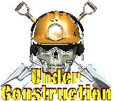 Under Construction Skull.gif (9620 bytes)